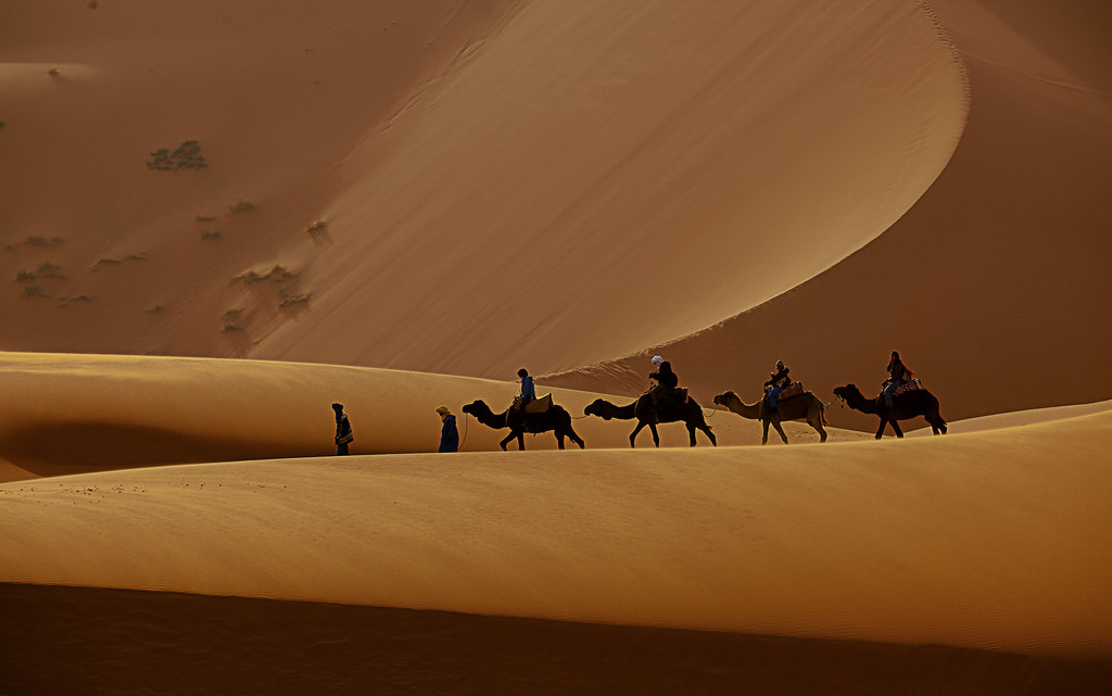 best thing to do in africa camel ride in erg chebbi sahara in morocco