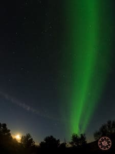 northern lights viewing activity in iceland in 8 days