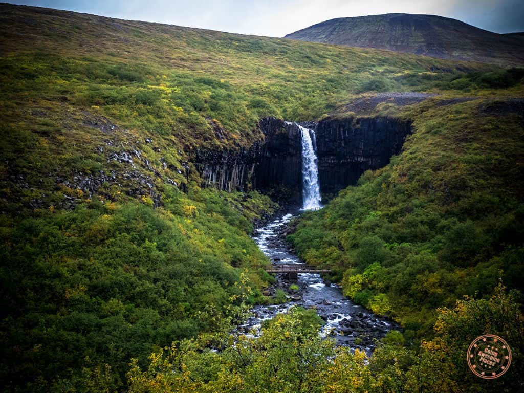 svartifoss waterfall from afar