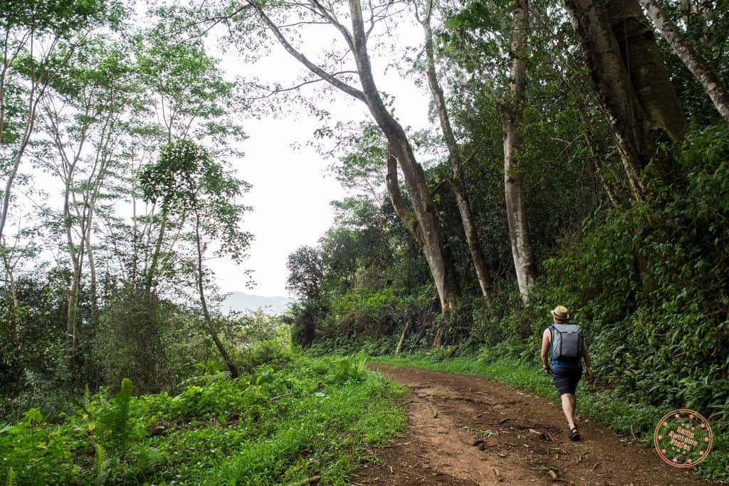 hiking in the jungles of hawaii in this review of world nomads travel insurance