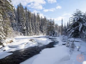 algonquin twin lakes trail during winter