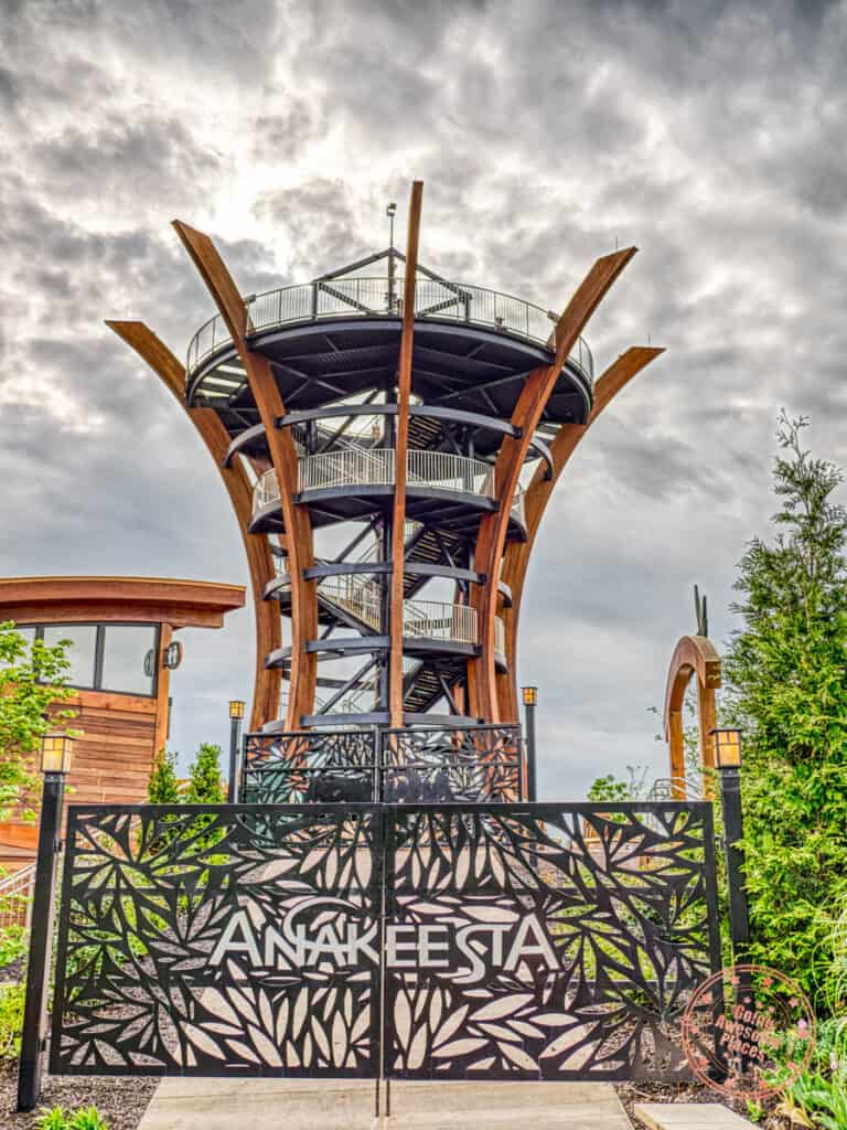 anavista tower at anakeesta theme park in gatlinburg tennessee