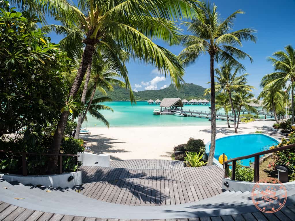 palm trees over pool deck by turquoise water lagoon at best resorts bora bora