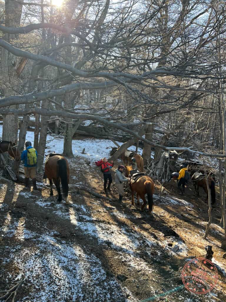 dismounting horses at treeline for cerro paine hike