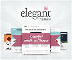 Elegant WordPress Themes