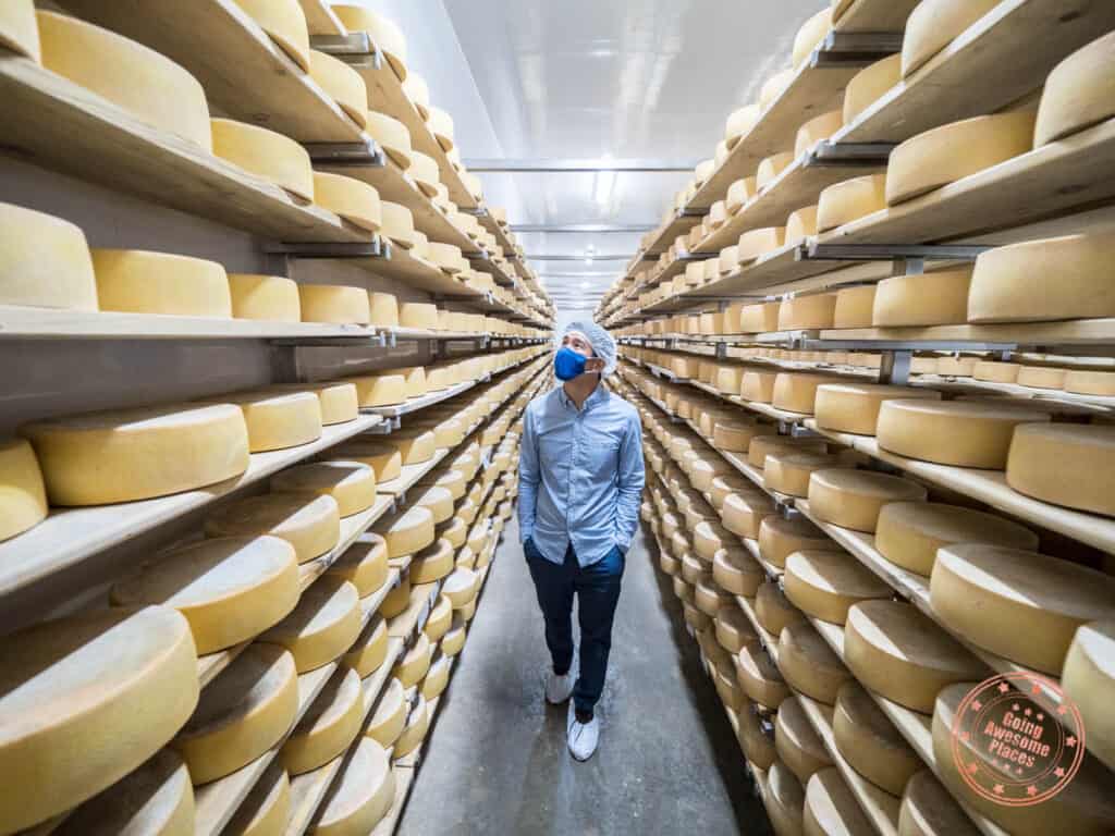 gunn's hill artisan cheese facility tour oxford county cheese trail