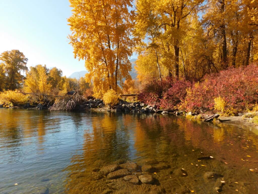 fall colours at waterfront park in leavenworth washington