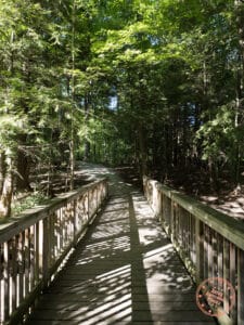 maple nature reserve bridge trail