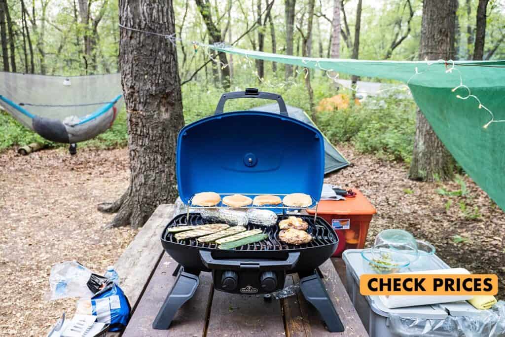 napoleon travelq 285 portable grill for camping