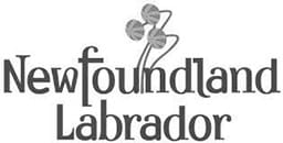going awesome places featured on newfoundland and labrador logo