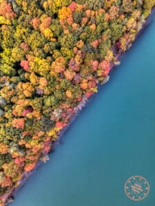 niagara glen park fall colours aerial view with diagonal cut of water and tree foliage