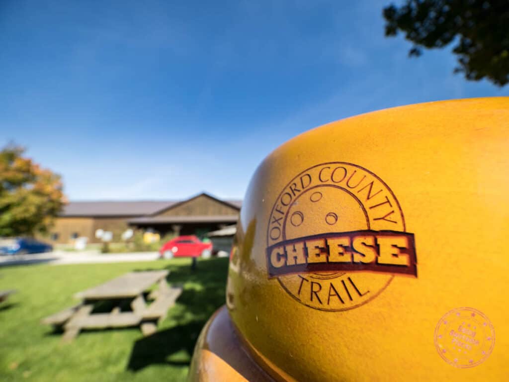 oxford county cheese trail experience
