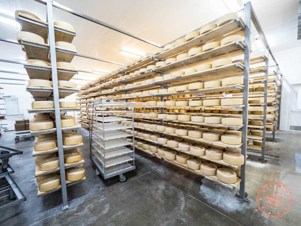 oxford county cheese trail gunns hill artisan cheese wheels