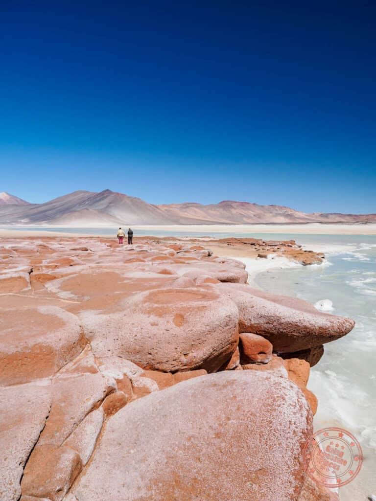 red rocks and salt lake at piedras rojas in atacama itinerary