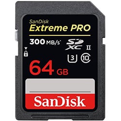 sandisk sdhx uhs-ii 64gb memory card