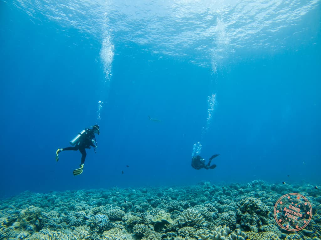 snorkeling on a trip to Bora Bora