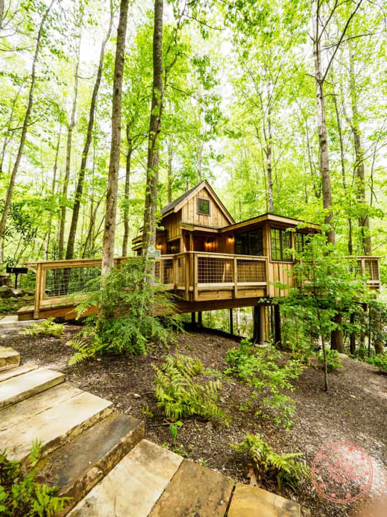 the maple treehouse at treehouse grove in where to stay in gatlinburg tennessee