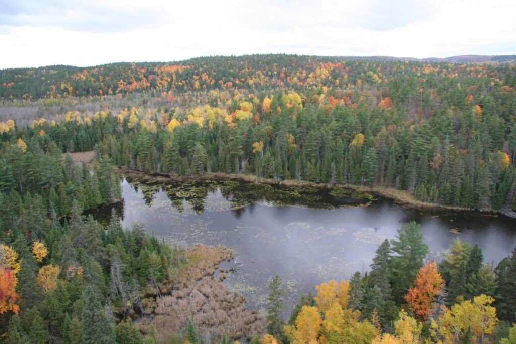 Calabogie lake overview with fall colors