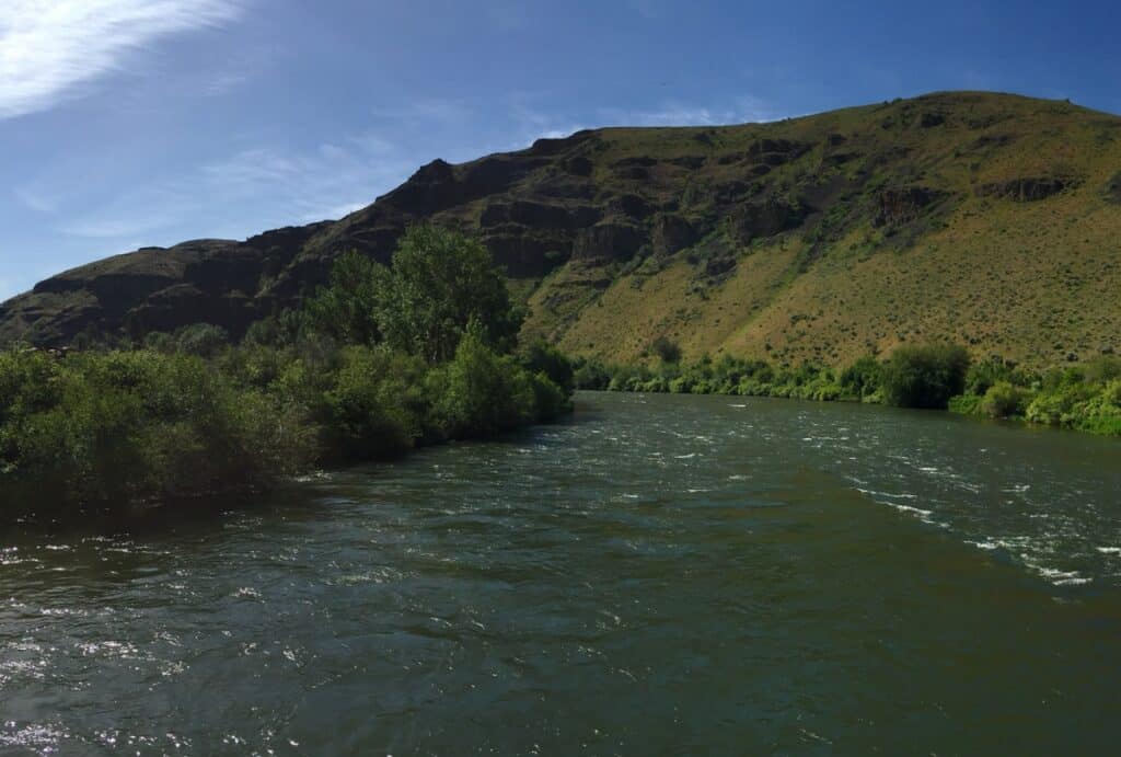 Rafting along Yakima River looking onto green forest on riverbank