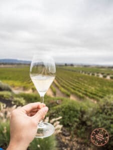goria ferrer vineyard wine tasting in sonoma california